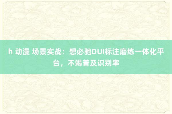 h 动漫 场景实战：想必驰DUI标注磨练一体化平台，不竭普及识别率