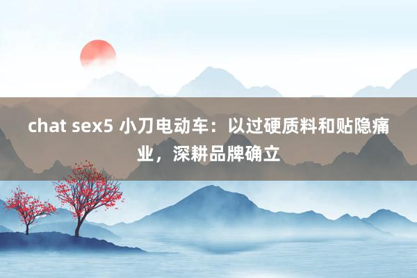 chat sex5 小刀电动车：以过硬质料和贴隐痛业，深耕品牌确立