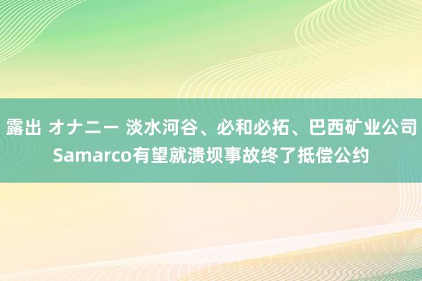 露出 オナニー 淡水河谷、必和必拓、巴西矿业公司Samarco有望就溃坝事故终了抵偿公约