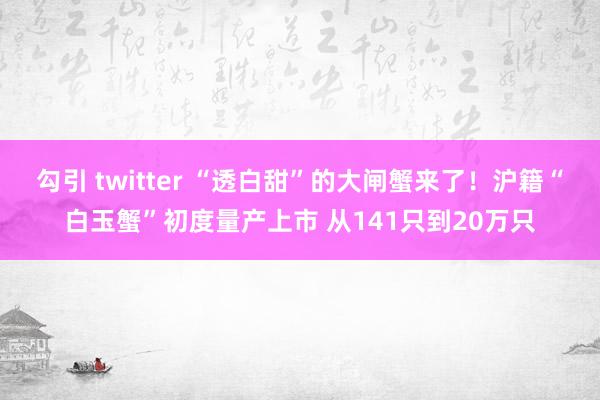 勾引 twitter “透白甜”的大闸蟹来了！沪籍“白玉蟹”初度量产上市 从141只到20万只