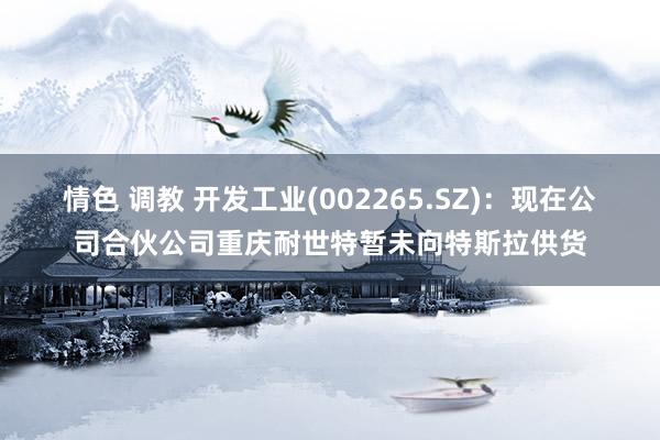 情色 调教 开发工业(002265.SZ)：现在公司合伙公司重庆耐世特暂未向特斯拉供货