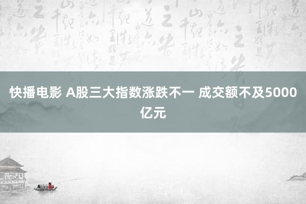 快播电影 A股三大指数涨跌不一 成交额不及5000亿元