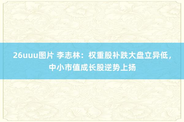 26uuu图片 李志林：权重股补跌大盘立异低，中小市值成长股逆势上扬