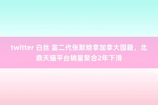 twitter 白丝 富二代张默晗拿加拿大国籍，北鼎天猫平台销量聚合2年下滑