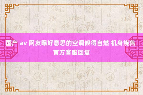 国产 av 网友曝好意思的空调倏得自燃 机身烧焦 官方客服回复