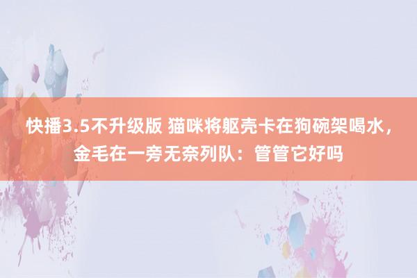 快播3.5不升级版 猫咪将躯壳卡在狗碗架喝水，金毛在一旁无奈列队：管管它好吗