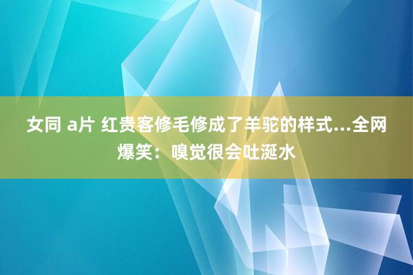 女同 a片 红贵客修毛修成了羊驼的样式...全网爆笑：嗅觉很会吐涎水