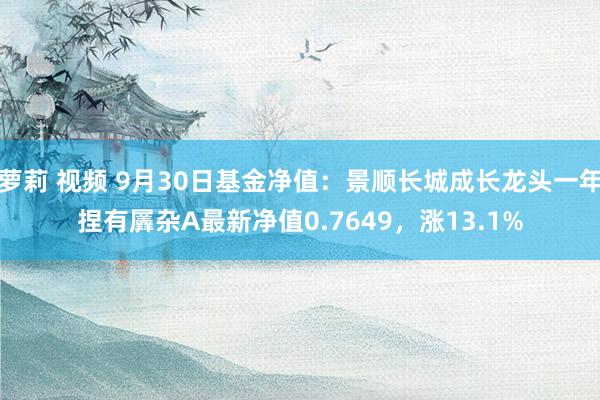 萝莉 视频 9月30日基金净值：景顺长城成长龙头一年捏有羼杂A最新净值0.7649，涨13.1%