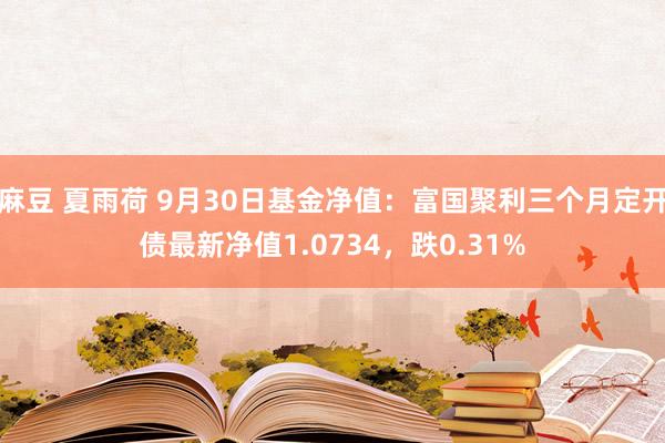 麻豆 夏雨荷 9月30日基金净值：富国聚利三个月定开债最新净值1.0734，跌0.31%