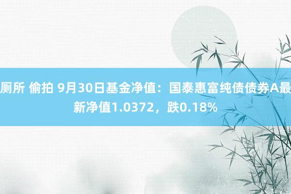 厕所 偷拍 9月30日基金净值：国泰惠富纯债债券A最新净值1.0372，跌0.18%