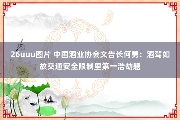 26uuu图片 中国酒业协会文告长何勇：酒驾如故交通安全限制里第一浩劫题