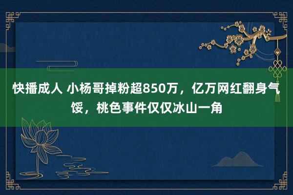 快播成人 小杨哥掉粉超850万，亿万网红翻身气馁，桃色事件仅仅冰山一角