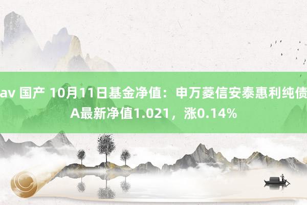 av 国产 10月11日基金净值：申万菱信安泰惠利纯债A最新净值1.021，涨0.14%