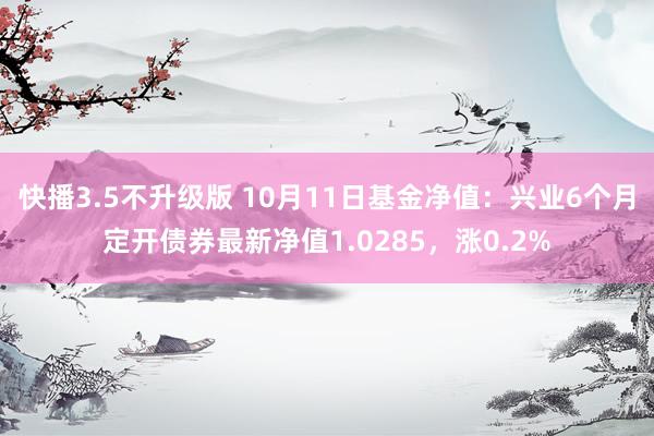 快播3.5不升级版 10月11日基金净值：兴业6个月定开债券最新净值1.0285，涨0.2%