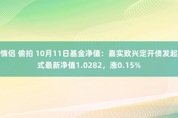 情侣 偷拍 10月11日基金净值：嘉实致兴定开债发起式最新净值1.0282，涨0.15%