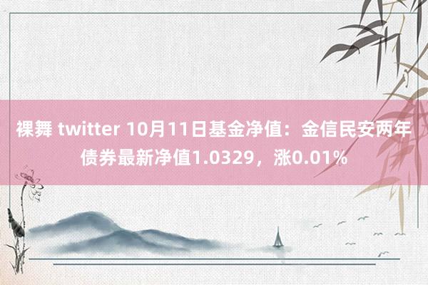 裸舞 twitter 10月11日基金净值：金信民安两年债券最新净值1.0329，涨0.01%