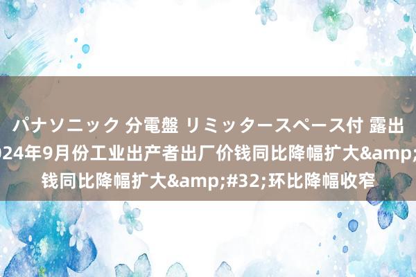 パナソニック 分電盤 リミッタースペース付 露出・半埋込両用形 2024年9月份工业出产者出厂价钱同比降幅扩大&#32;环比降幅收窄