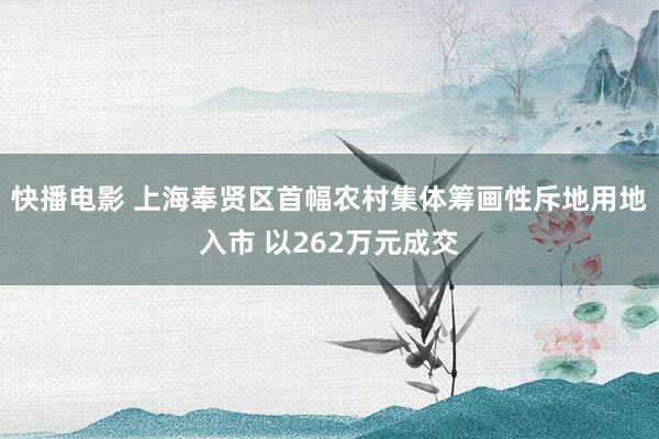 快播电影 上海奉贤区首幅农村集体筹画性斥地用地入市 以262万元成交