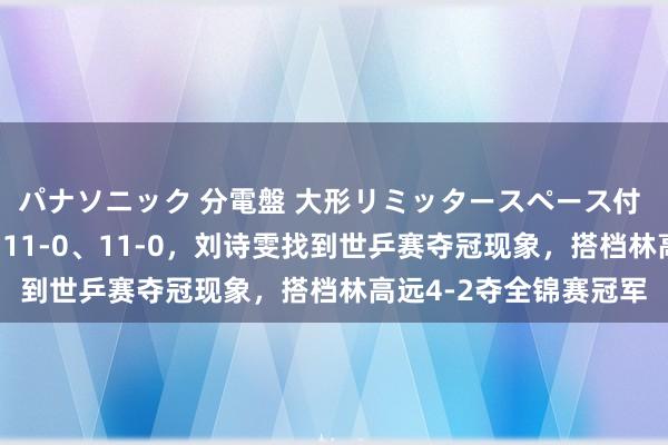 パナソニック 分電盤 大形リミッタースペース付 露出・半埋込両用形 11-0、11-0，刘诗雯找到世乒赛夺冠现象，搭档林高远4-2夺全锦赛冠军