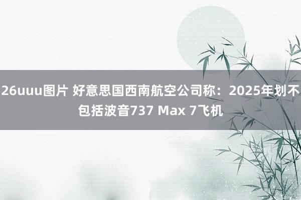 26uuu图片 好意思国西南航空公司称：2025年划不包括波音737 Max 7飞机