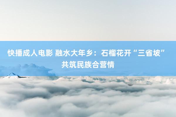 快播成人电影 融水大年乡：石榴花开“三省坡” 共筑民族合营情