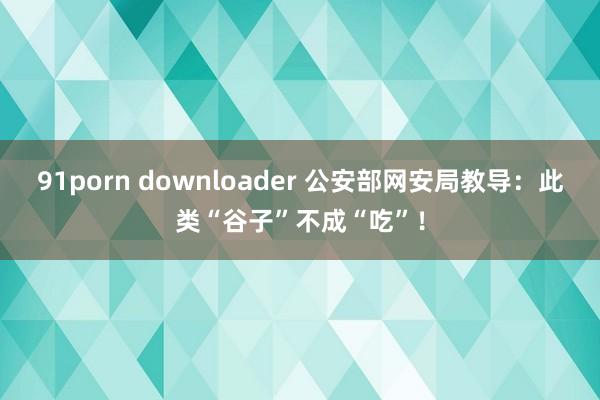 91porn downloader 公安部网安局教导：此类“谷子”不成“吃”！