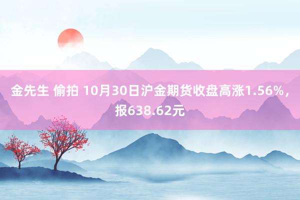 金先生 偷拍 10月30日沪金期货收盘高涨1.56%，报638.62元