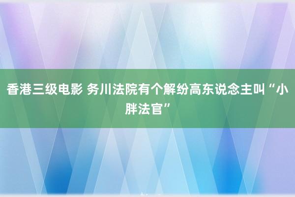 香港三级电影 务川法院有个解纷高东说念主叫“小胖法官”