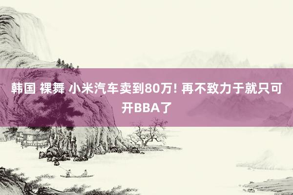 韩国 裸舞 小米汽车卖到80万! 再不致力于就只可开BBA了