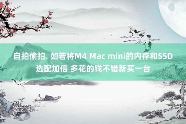 自拍偷拍. 如若将M4 Mac mini的内存和SSD选配加倍 多花的钱不错新买一台