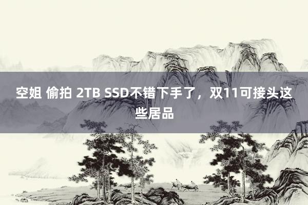 空姐 偷拍 2TB SSD不错下手了，双11可接头这些居品