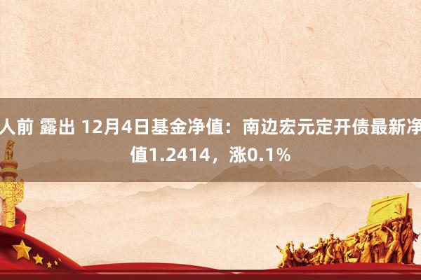 人前 露出 12月4日基金净值：南边宏元定开债最新净值1.2414，涨0.1%