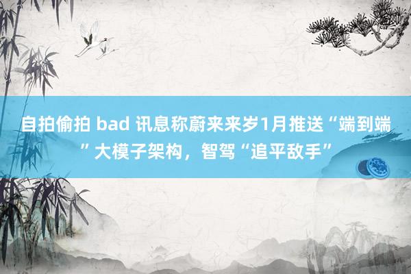 自拍偷拍 bad 讯息称蔚来来岁1月推送“端到端”大模子架构，智驾“追平敌手”