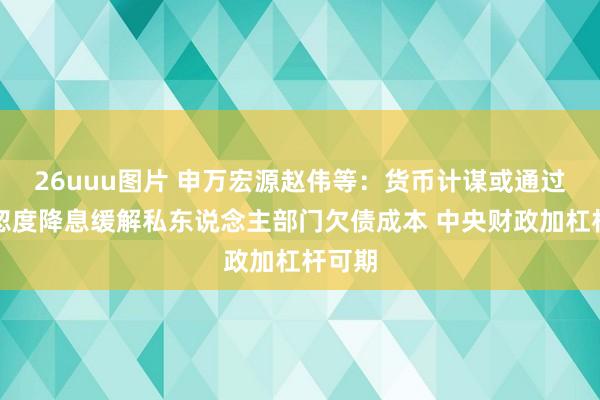 26uuu图片 申万宏源赵伟等：货币计谋或通过更玩忽度降息缓解私东说念主部门欠债成本 中央财政加杠杆可期