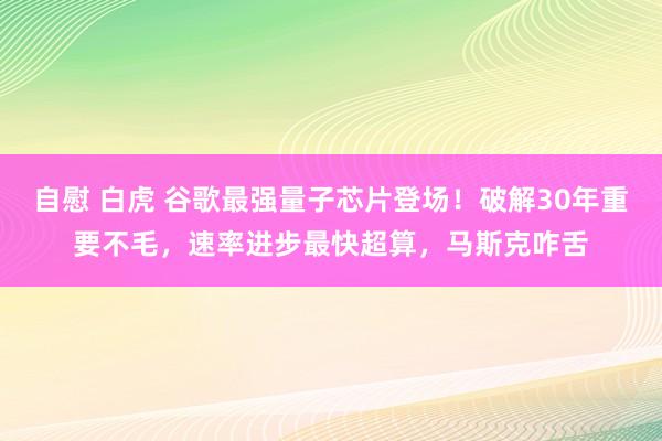 自慰 白虎 谷歌最强量子芯片登场！破解30年重要不毛，速率进步最快超算，马斯克咋舌