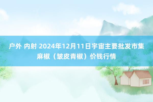 户外 内射 2024年12月11日宇宙主要批发市集麻椒（皱皮青椒）价钱行情