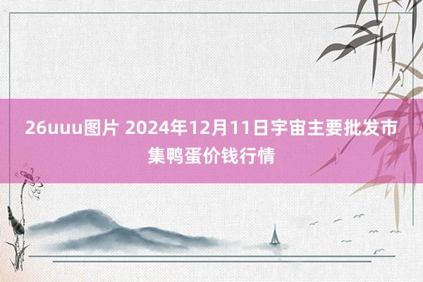 26uuu图片 2024年12月11日宇宙主要批发市集鸭蛋价钱行情