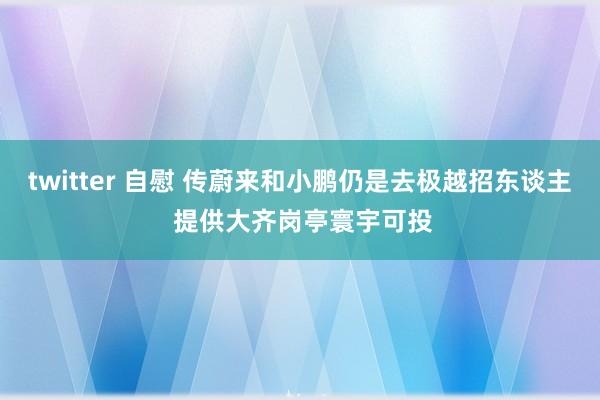 twitter 自慰 传蔚来和小鹏仍是去极越招东谈主 提供大齐岗亭寰宇可投