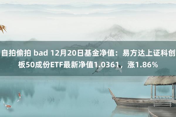 自拍偷拍 bad 12月20日基金净值：易方达上证科创板50成份ETF最新净值1.0361，涨1.86%