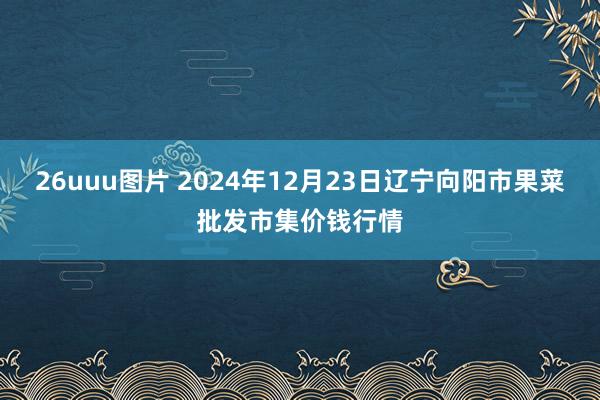 26uuu图片 2024年12月23日辽宁向阳市果菜批发市集价钱行情