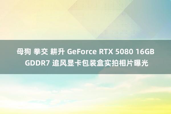 母狗 拳交 耕升 GeForce RTX 5080 16GB GDDR7 追风显卡包装盒实拍相片曝光